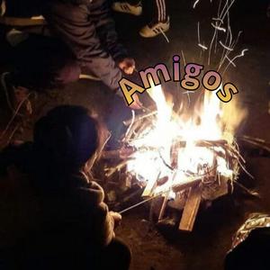 AMIGOS