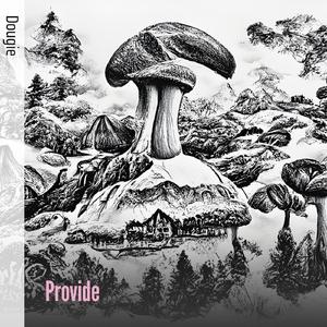 Provide