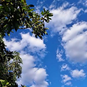 Eu Vou Cuidar de Você