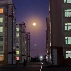 暗恋是一个人的事