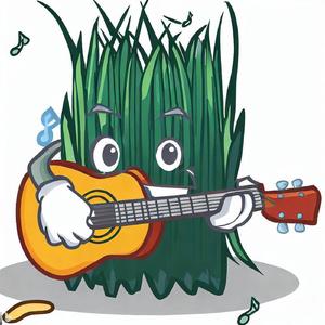 Bluegrass Breakdown (Live)