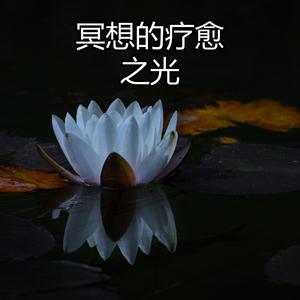冥想的疗愈之光
