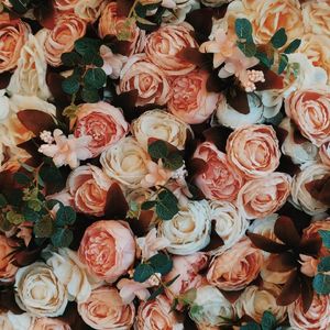 十二月浪漫的事情