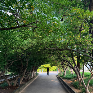 你的名字是我的方向