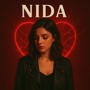 NİDA
