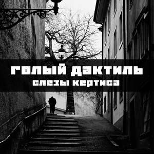 Слезы Кертиса