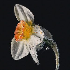 石家庄，慢慢走