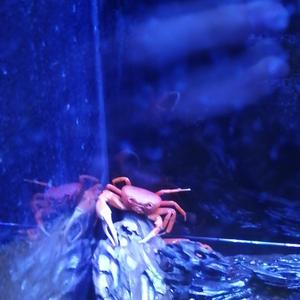 我想再早点儿变得有能力