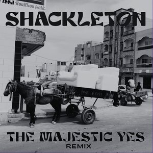Shackleton's the Majestic Yes (Glitch Molecule Remix)