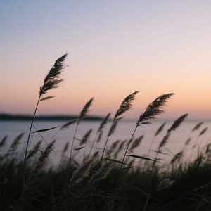 我才不要和你做朋友