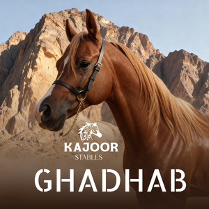 GHADHAB