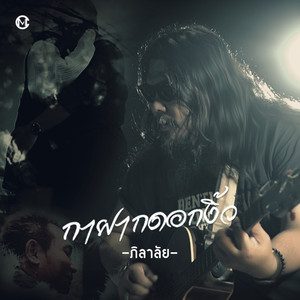 กาฝากดอกงิ้ว