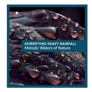 Beautiful Small Bird