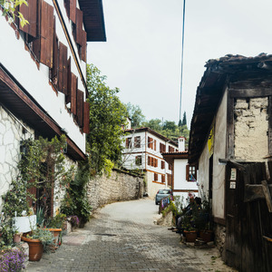 Festa bonita não ofende ninguém _ festa junina consciente//como cuidar dos animais do barulho dos fogos