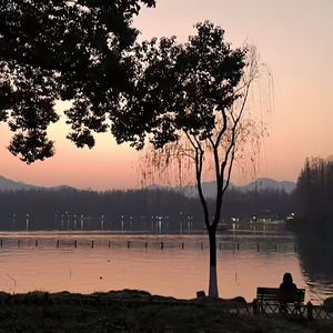 泊隅