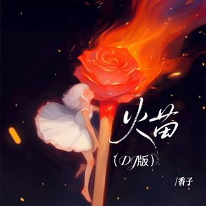 火苗 (DJ版)