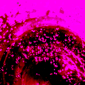 Cluster Bomb