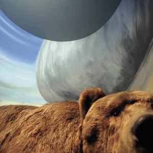 Meriten Der Begeisterungsresistenz