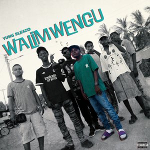 Walimwengu