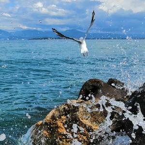 梦画(Instrumental)