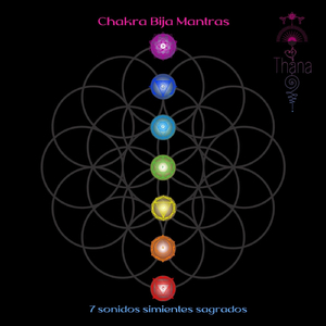 Vam, Chakra Sacro, Re