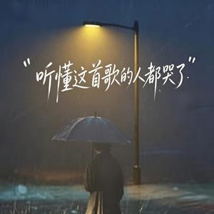 听懂这首歌的人都哭了 （男生版）