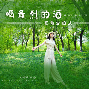 喝最烈的酒忘最爱的人 (DJ默涵版)