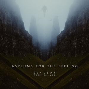 Asylums for the Feeling