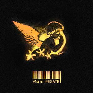 PEGATE