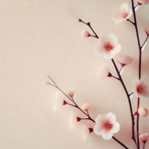 피어나듯 다가오는 봄 (Spring Blooming Into Life)