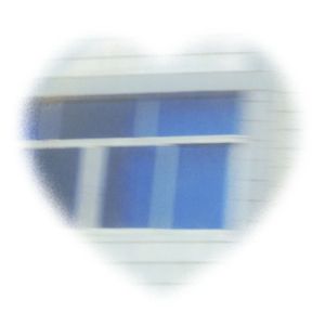 wholehearted