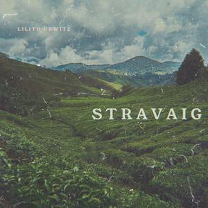 Stravaig