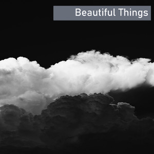 Beautiful Things