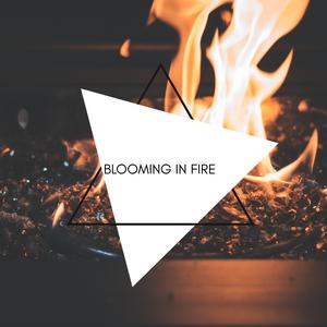 Calm Fire Audio