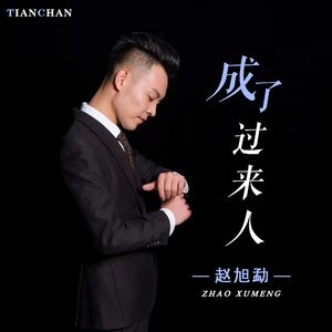 成了过来人（感悟版伴奏）