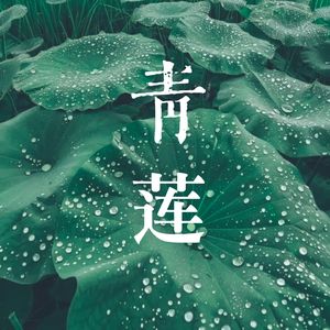 《青莲》舞蹈音乐