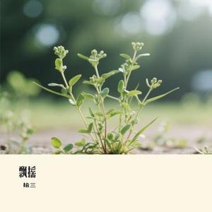 飘摇（Cover 周迅）