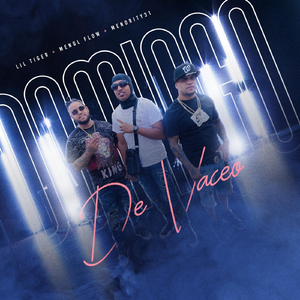 Domingo de Vaceo (feat. Lil Tiger & Menol Flow)