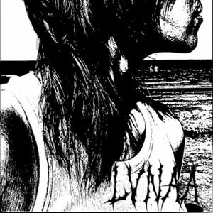 Wandering The Forests