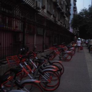 十七街坊（damo)