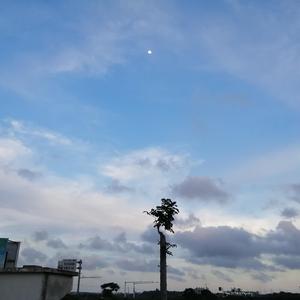 身骑白马