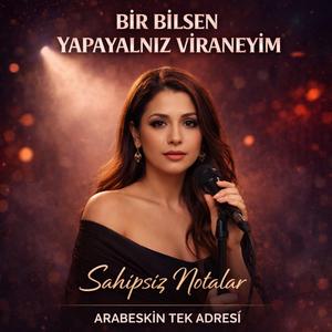 Bir Bilsen Yapayalnız Viraneyim