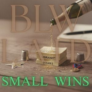 SMALL WINS