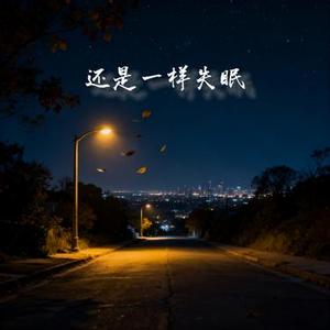 还是一样失眠 0.8x