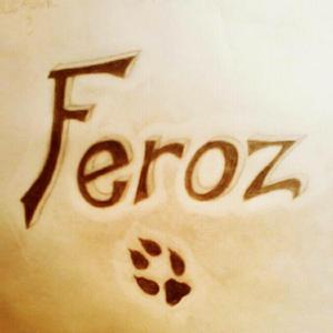 Feroz (profetas de papel)