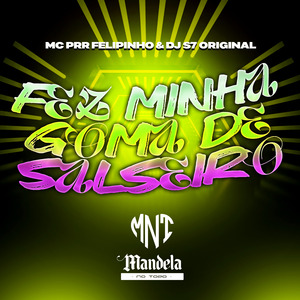 Fez Minha Goma de Salseiro