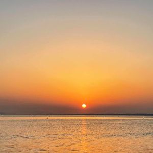 有人钢枪有人伏地