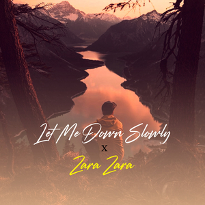 Let Me Down Slowly x Zara Zara (Mashup)