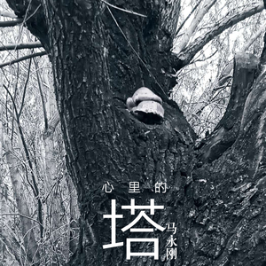 我静默着想念你