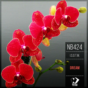 Dream (Original Mix)